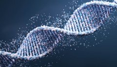 <b>做为浦东地域面积最大、营业涵盖最全的移</b>