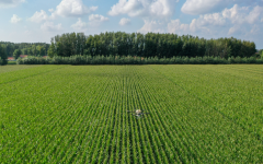 此复杂的食物消费需求